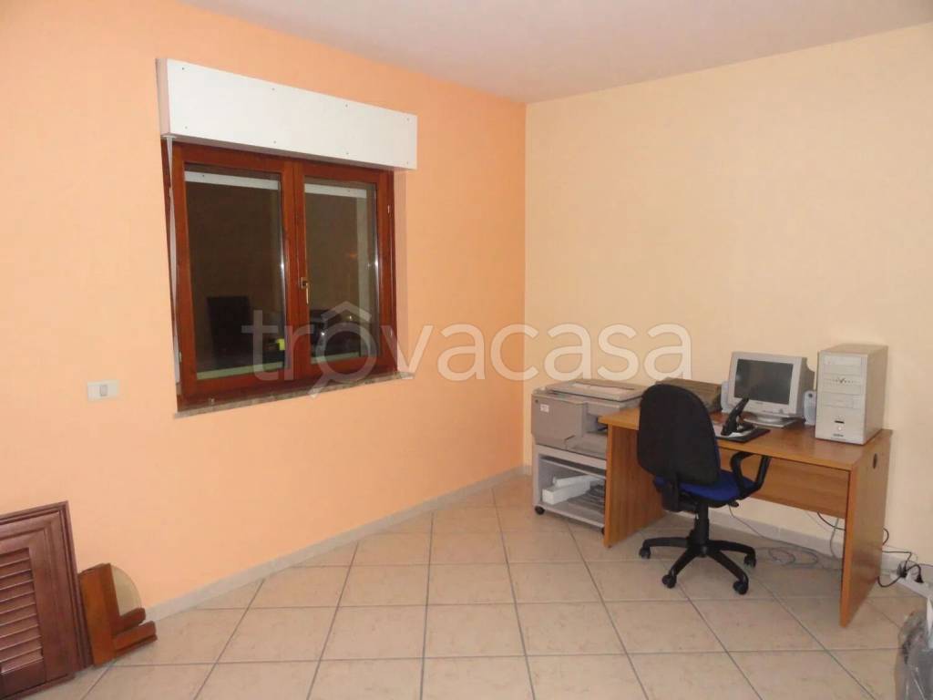 immagine annuncio 10 di 12