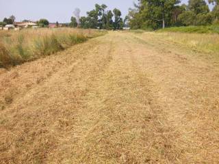 Terreno agricolo in vendita a sabaudia strada segreta, snc