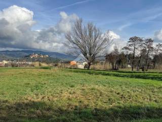 Terreno agricolo in vendita a buggiano via molinetto