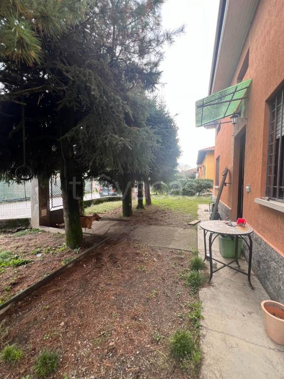 immagine annuncio 10 di 15