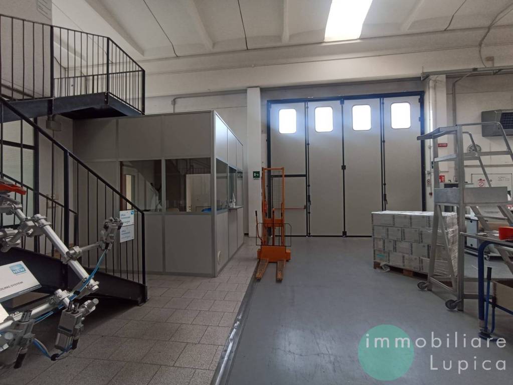 immagine annuncio 11 di 15