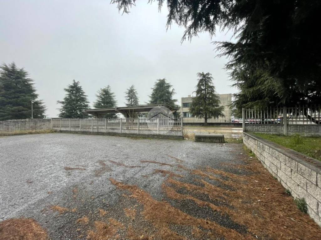 immagine annuncio 4 di 11