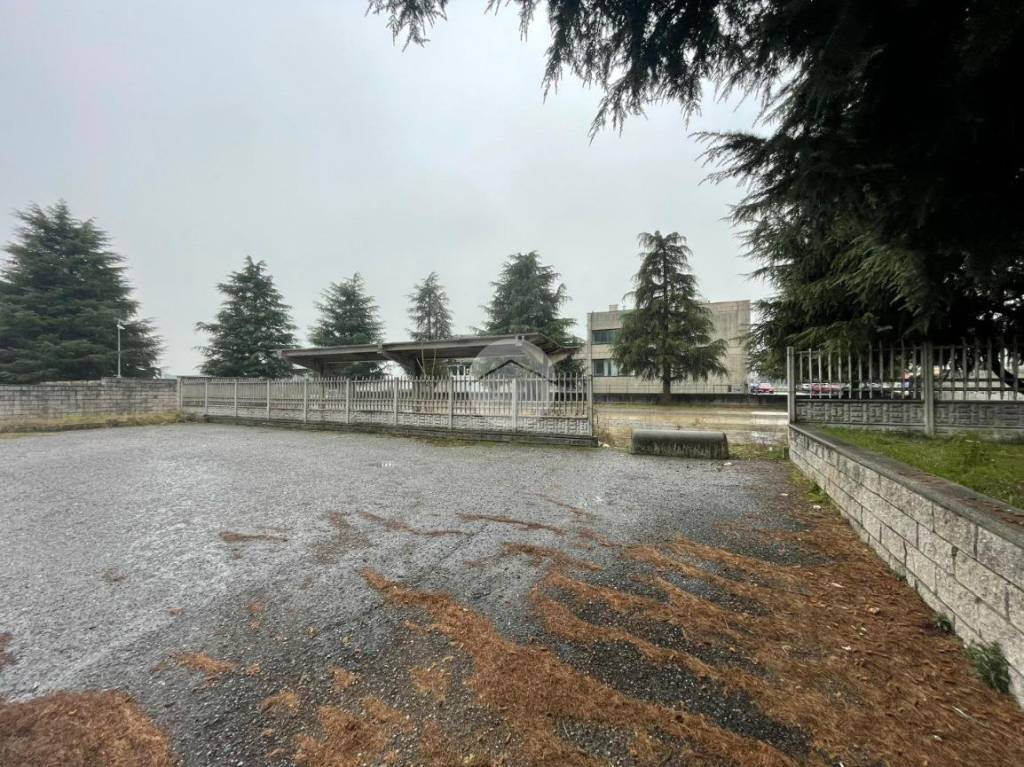 immagine annuncio 8 di 11