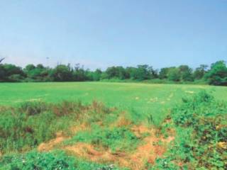 Terreno agricolo all'asta a peschiera borromeo 