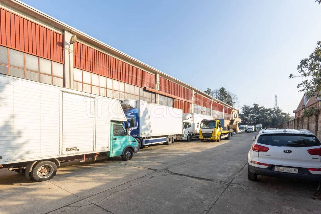 immagine annuncio 3 di 15