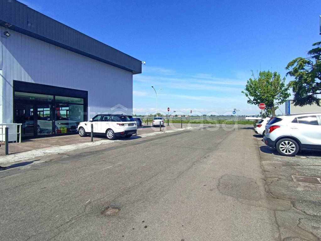 immagine annuncio 14 di 15