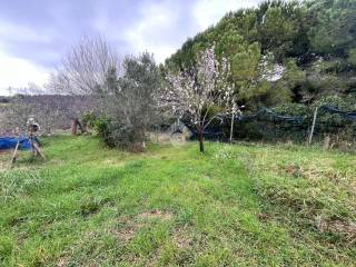 Terreno agricolo in vendita a livorno via del limoncino, 13