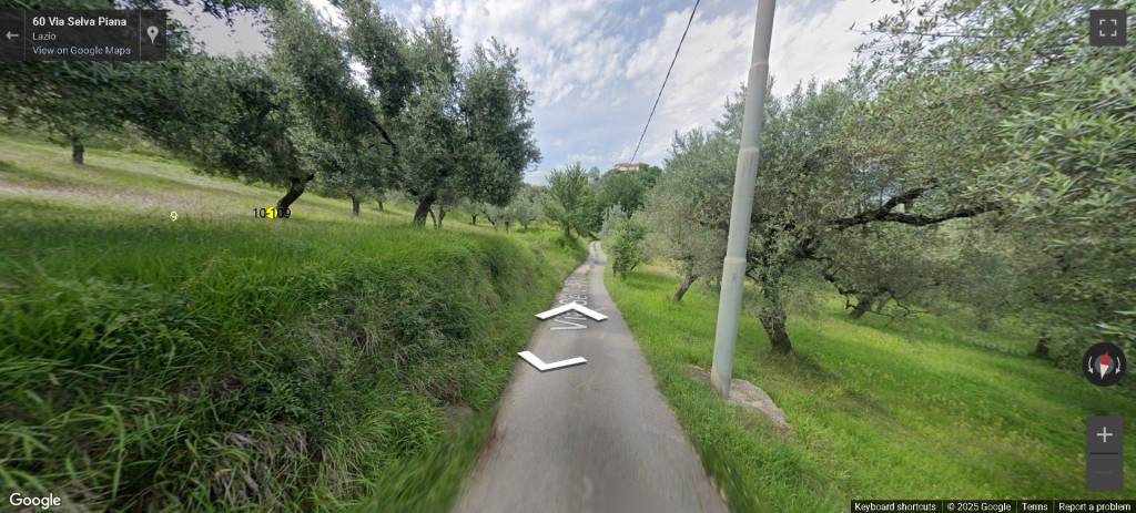 immagine annuncio 10 di 13