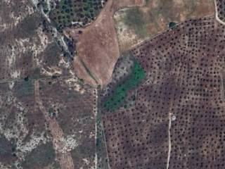 Terreno agricolo in vendita a carpignano salentino via provinciale martano-otranto s.n.c.