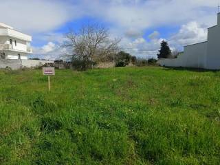 Terreno agricolo in vendita a melpignano via benedetto croce