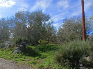 Terreno agricolo in vendita ad andrano via madonna dell'attarico s.n.c.