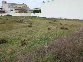 Terreno agricolo in vendita a cursi via arno, 96