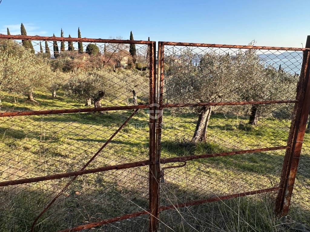 immagine annuncio 6 di 13