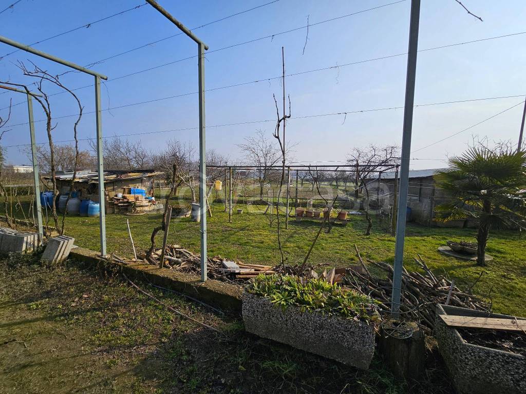 immagine annuncio 4 di 15