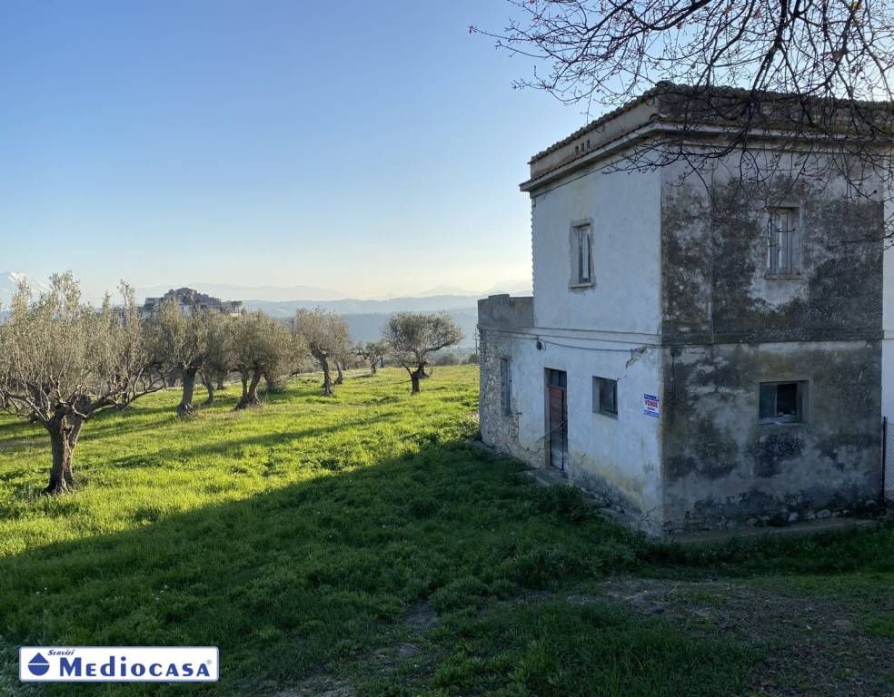 immagine annuncio 8 di 14