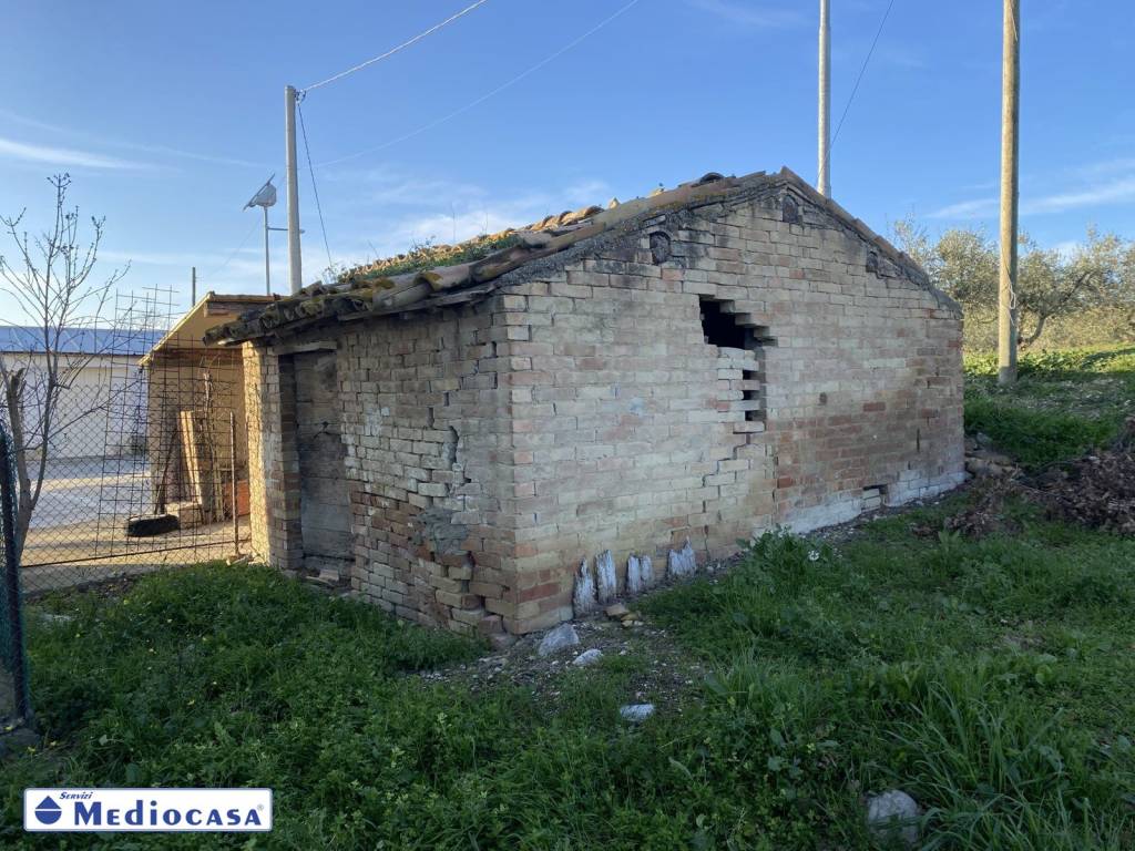 immagine annuncio 11 di 14