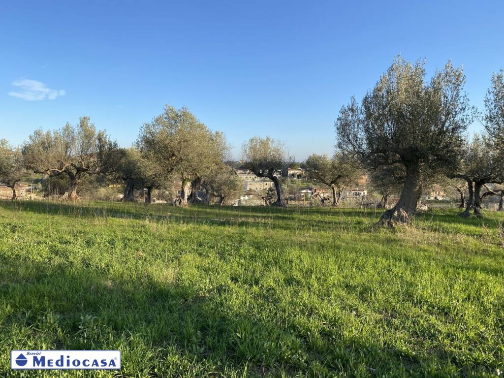 immagine annuncio 12 di 14
