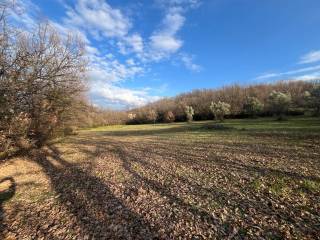 Terreno agricolo in vendita a rende contrada piano maio