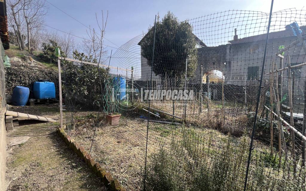 immagine annuncio 9 di 14