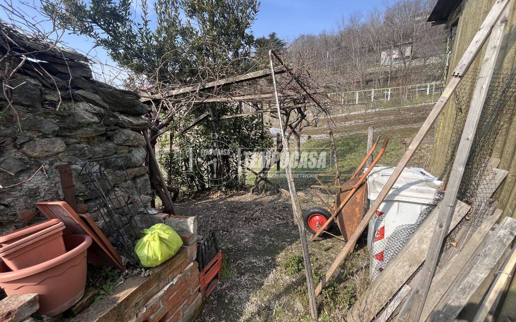 immagine annuncio 10 di 14