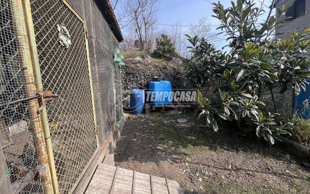 immagine annuncio 11 di 14