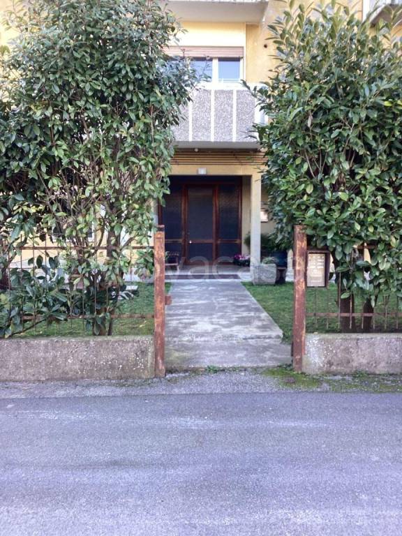 immagine annuncio 2 di 12