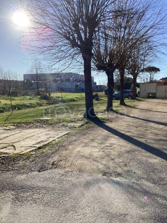 immagine annuncio 11 di 12