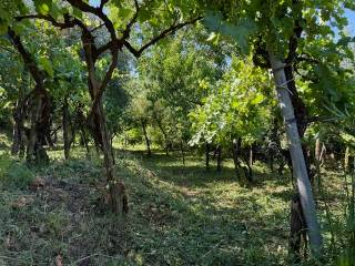 Terreno agricolo in vendita a nocera superiore via santa maria delle grazie, 300