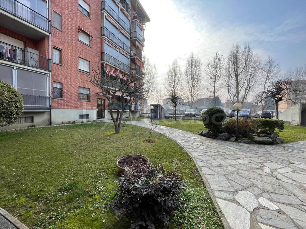 immagine annuncio 9 di 10