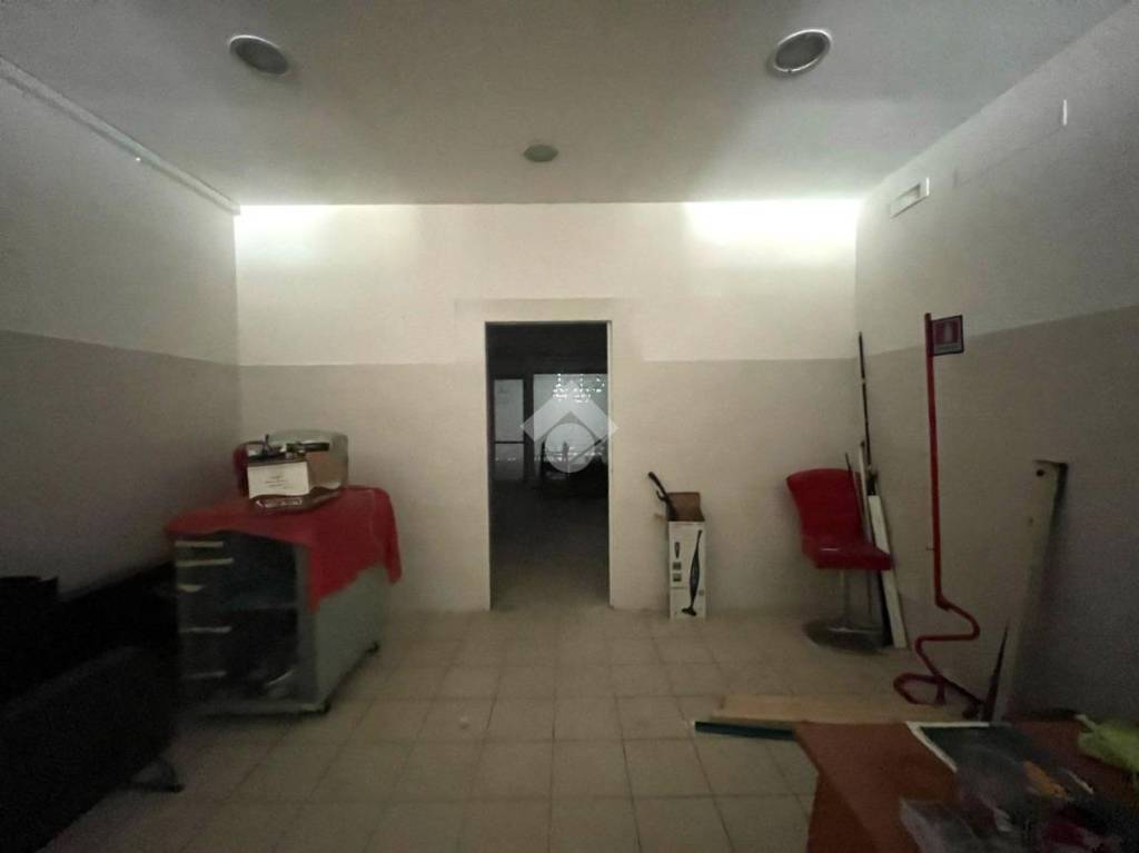 immagine annuncio 4 di 14
