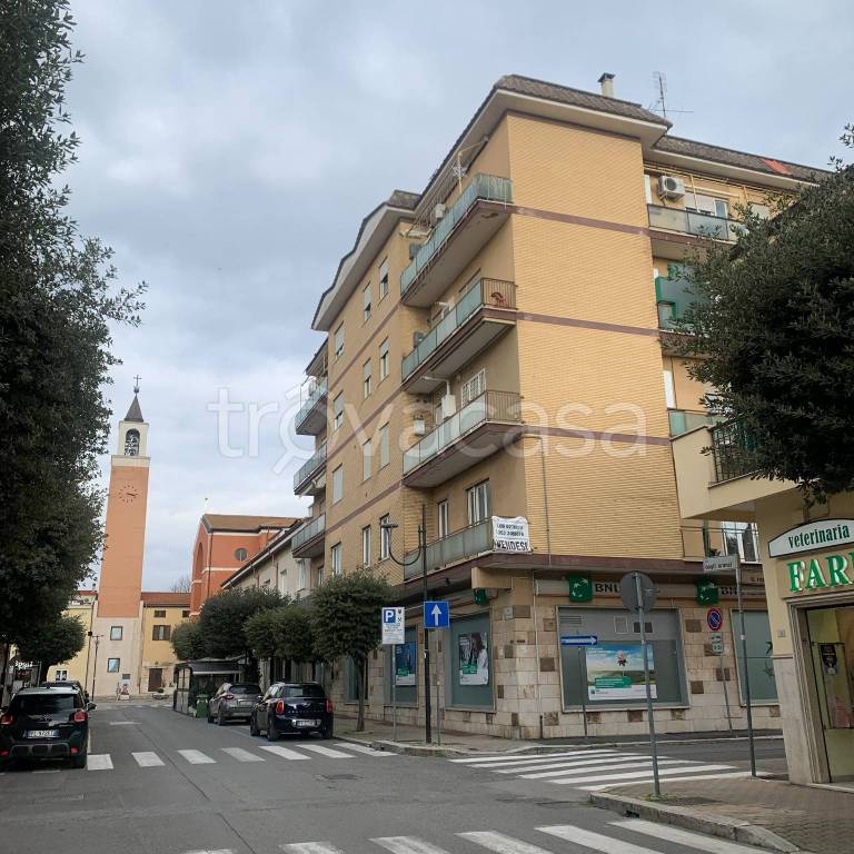 immagine annuncio 13 di 14