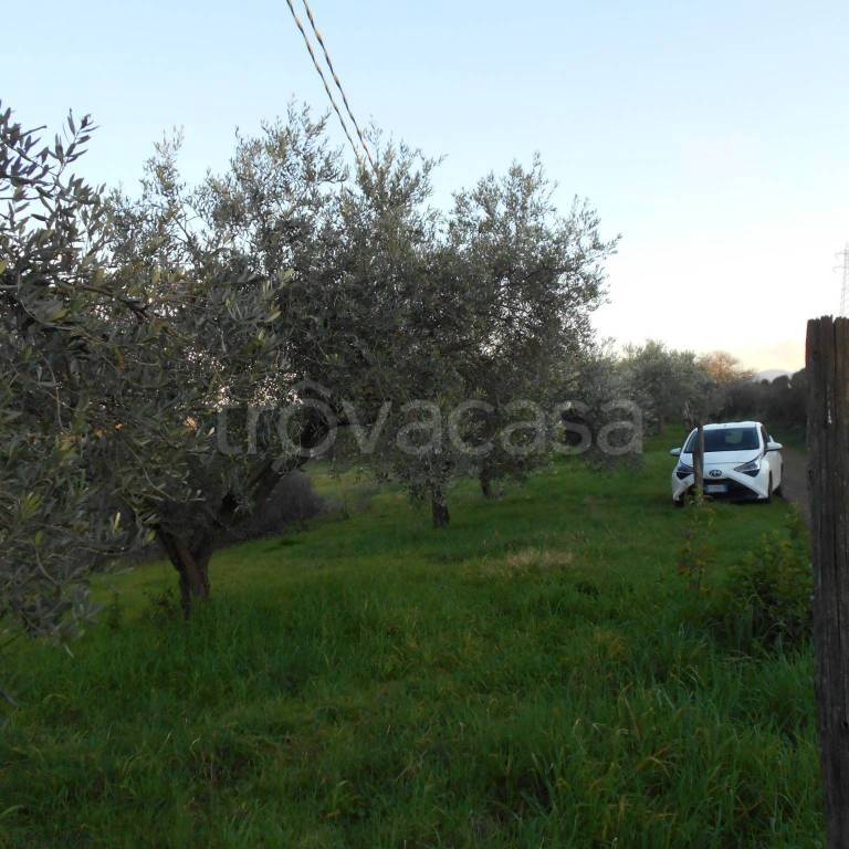 immagine annuncio 6 di 8