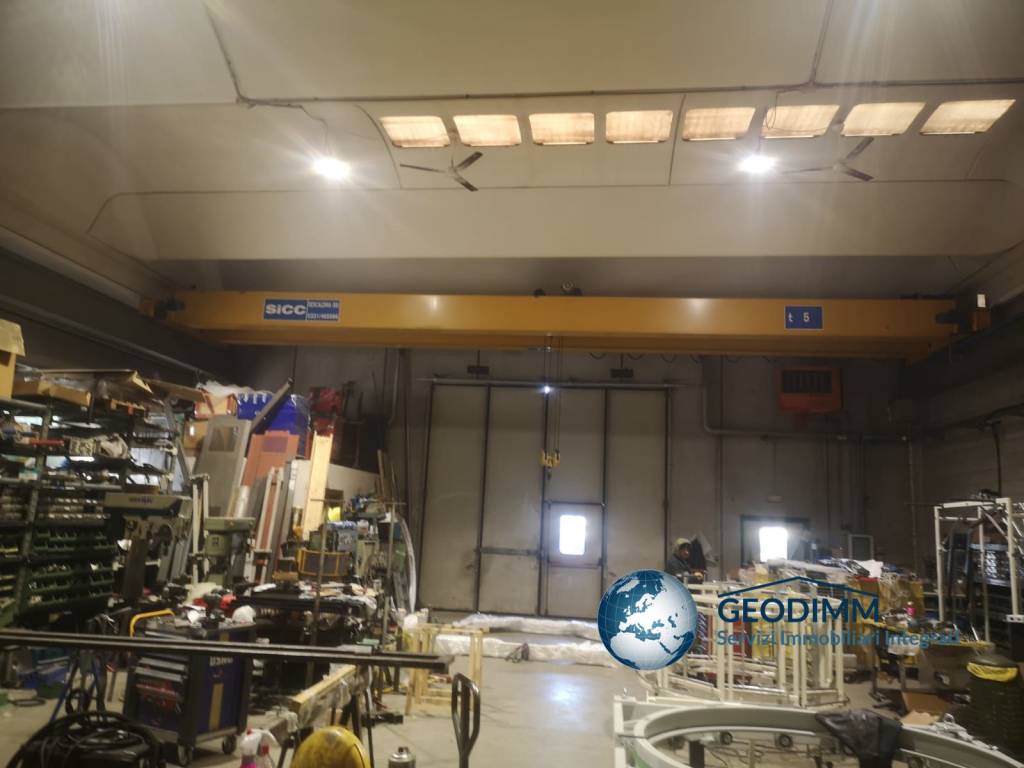 immagine annuncio 14 di 15