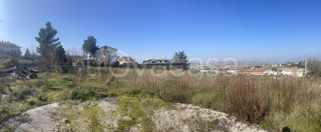 immagine annuncio 2 di 6