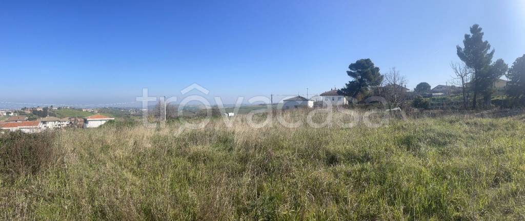 immagine annuncio 3 di 6