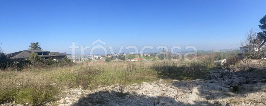 immagine annuncio 4 di 6