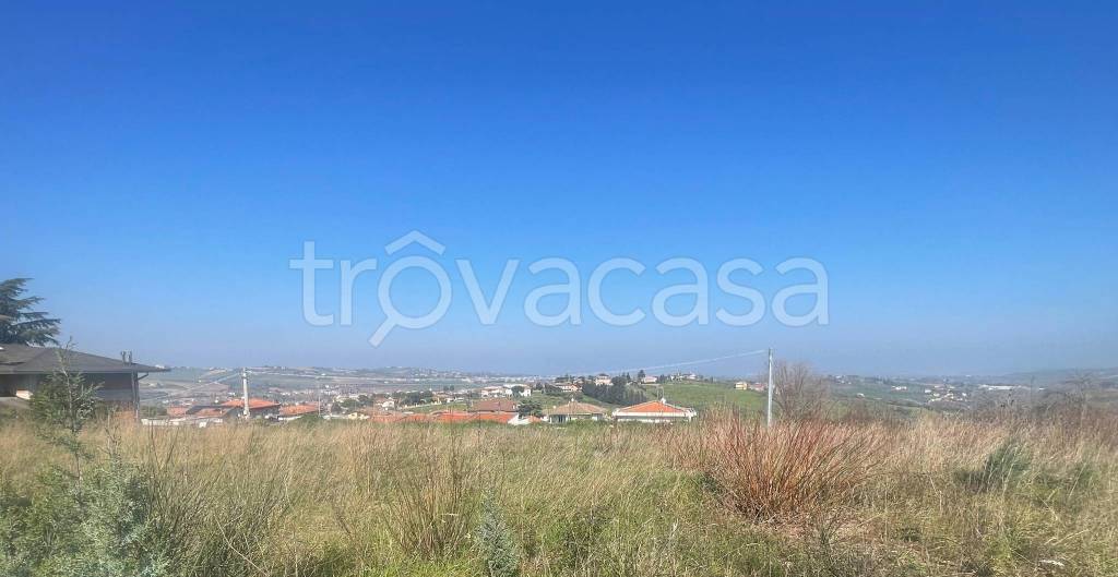 immagine annuncio 5 di 6