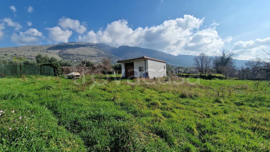 immagine annuncio 2 di 4