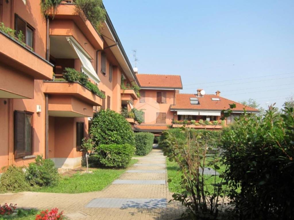 immagine annuncio 1 di 15