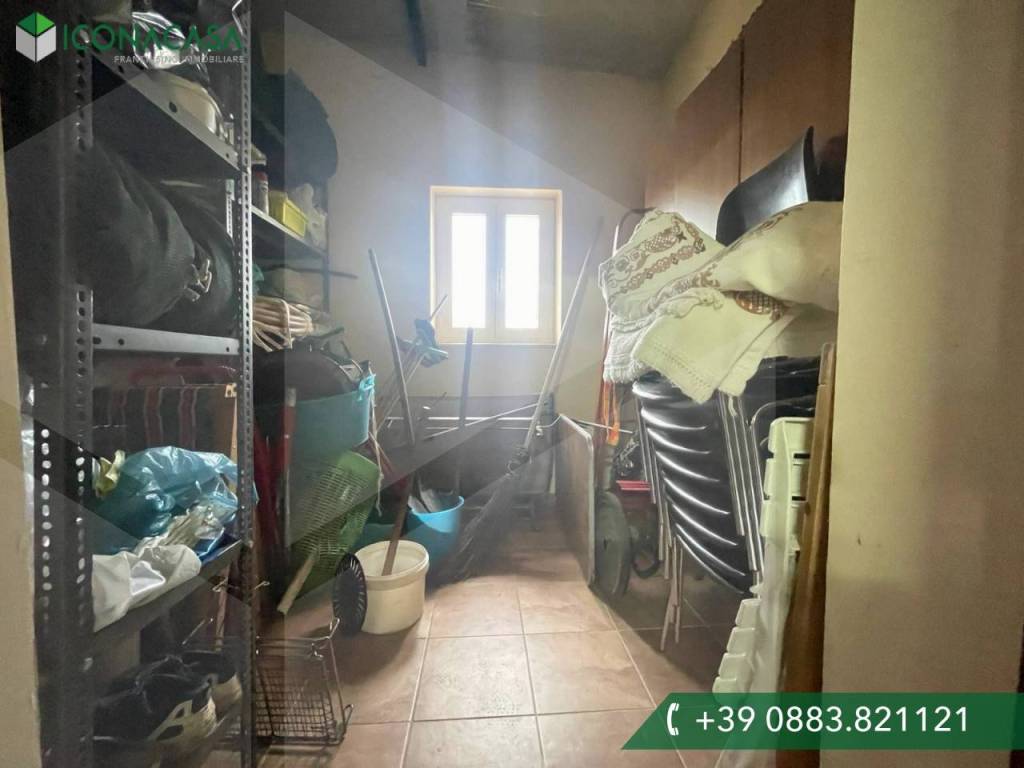 immagine annuncio 9 di 14