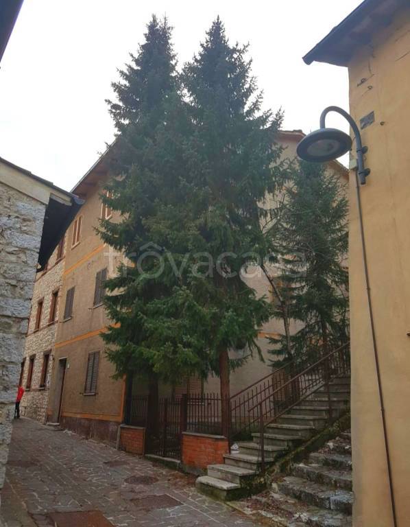 immagine annuncio 1 di 2