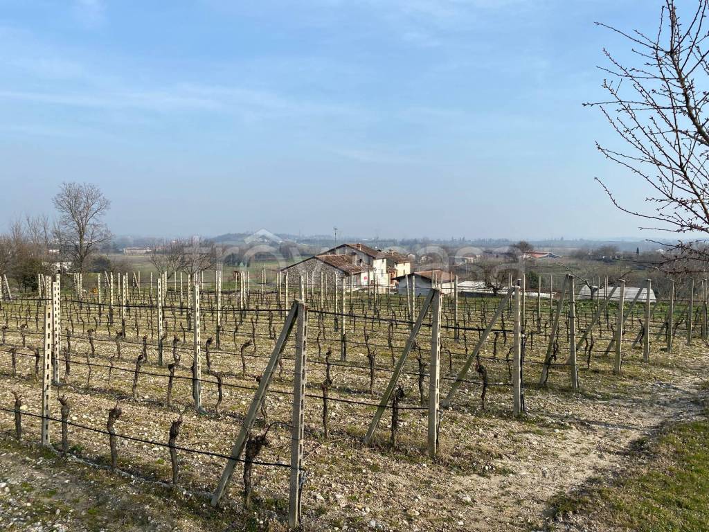 immagine annuncio 4 di 13