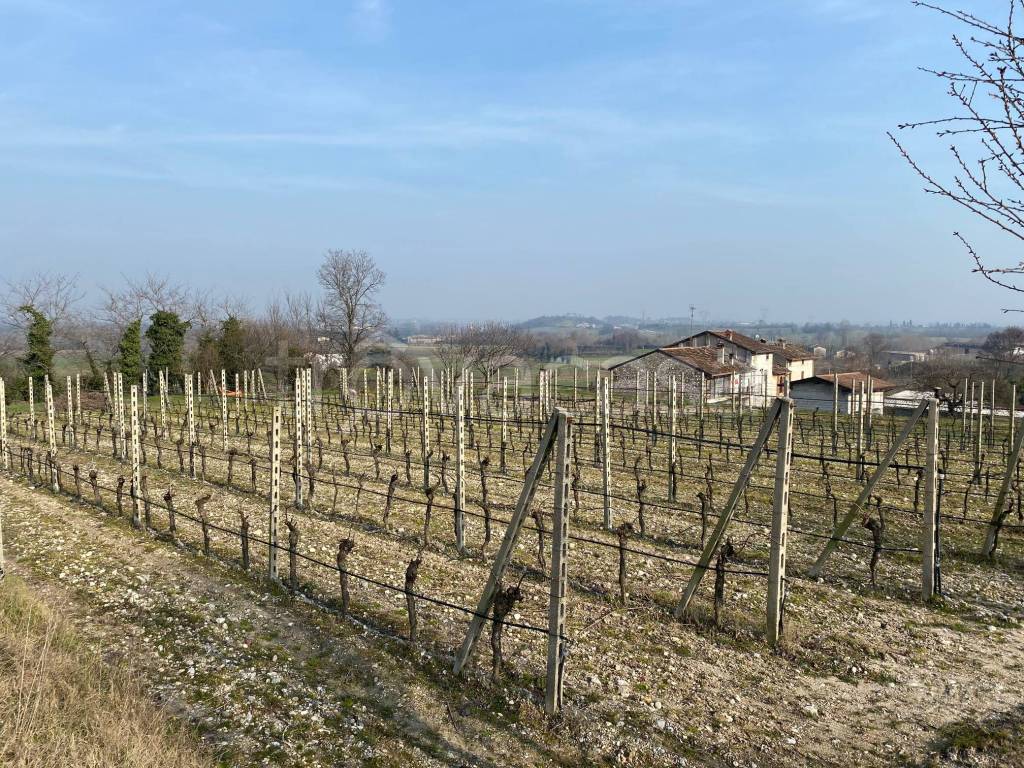 immagine annuncio 6 di 13
