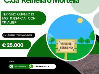 Terreno agricolo in vendita a torremaggiore c.da reinella o mortella