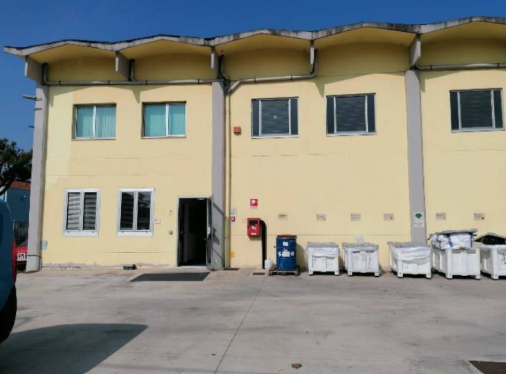 immagine annuncio 1 di 7