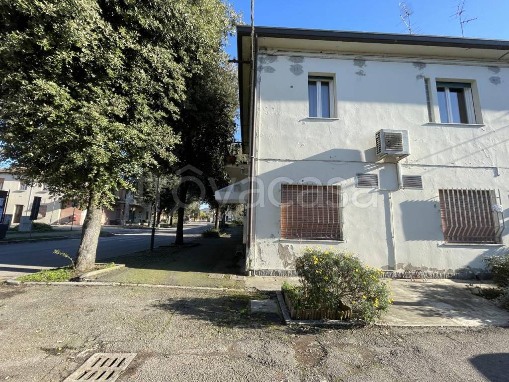 immagine annuncio 4 di 8