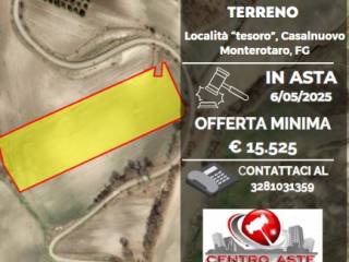 Terreno agricolo all'asta a casalnuovo monterotaro 71033 casalnuovo monterotaro fg, italia