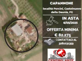 Capannone all'asta a castelnuovo della daunia 71034 castelnuovo della daunia fg, italia