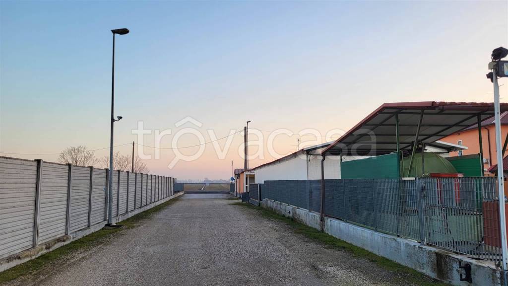 immagine annuncio 7 di 12