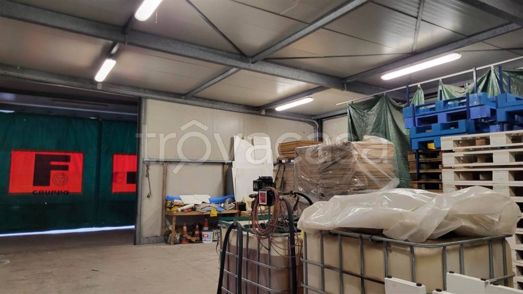 immagine annuncio 11 di 12